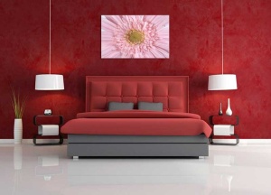Tablou gerbera