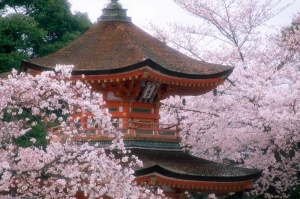 Tablou Japonia