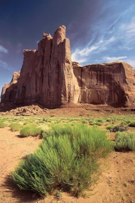 Tablou Natura