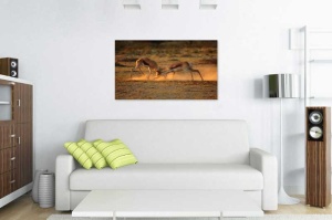 Tablou Antilope