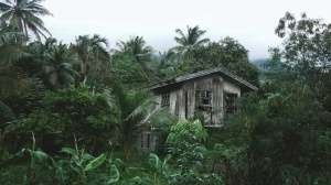 Tablou Casa Parasita