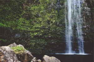 Tablou Cascada