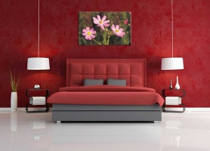 Tablou Flori de camp