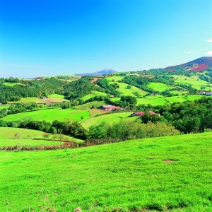 Tablou Peisaj Natura