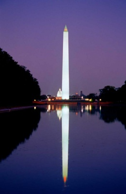 Tablou Washington