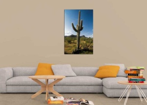 Tablou Cactus