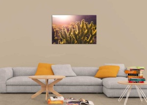 Tablou Cactus