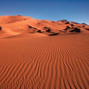 Tablou Desert