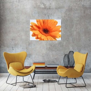 Tablou gerbera