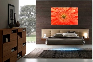 Tablou gerbera