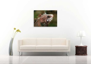 Tablou Iguana