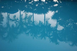 Tablou Reflexie Palmieri
