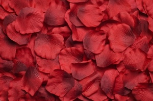 Tablou trandafiri Valentine's Day