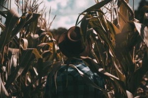 Tablou Agricultor