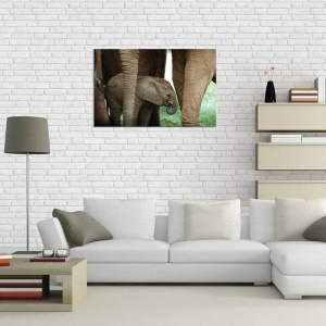 Tablou Pui de Elefant