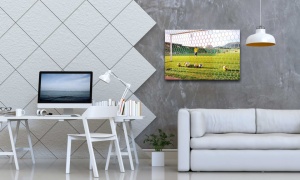 Tablouri sport antrenamente