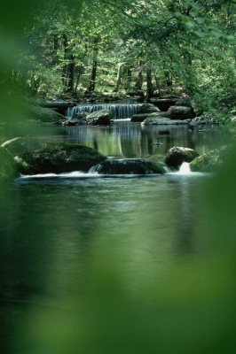Tablou Cascada