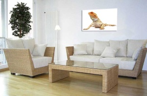 Tablou Iguana