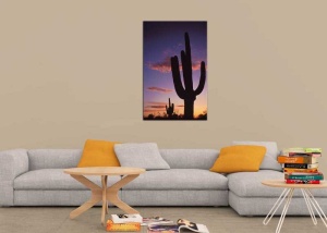 Tablou Cactus