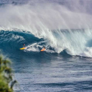Tablou Concurs de Surfing