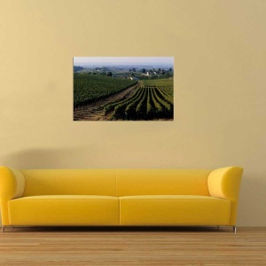 Tablou Cultura Agricola