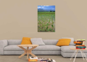 Tablou Cultura Agricola