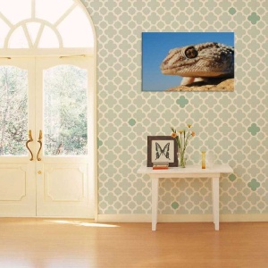 Tablou Iguana