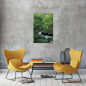 Tablou Natura