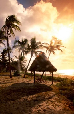 Tablou Paradisul Tropical