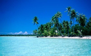 Tablou Paradisul Tropical