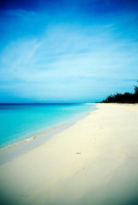 Tablou Paradisul Tropical