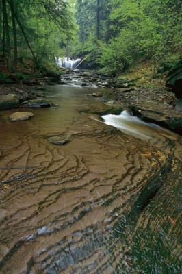 Tablou Cascada