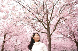 Tablou Cires Japonez