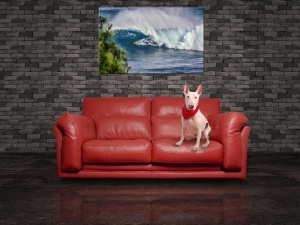 Tablou Concurs de Surfing