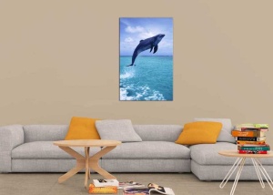Tablou Delfin