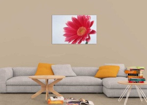 Tablou gerbera