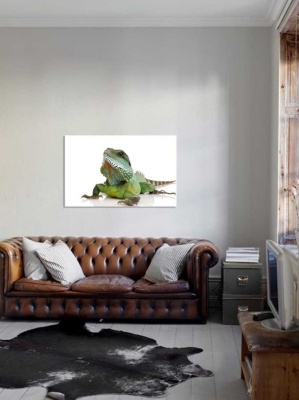 Tablou Iguana