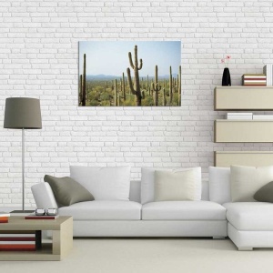 Tablou Cactusi
