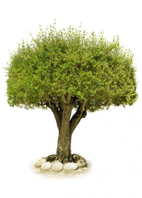 Tablou Copac