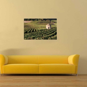 Tablou Cultura Agricola