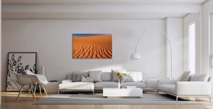 Tablou Desert