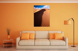 Tablou Desert