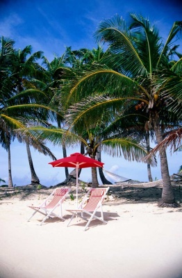 Tablou Paradisul Tropical