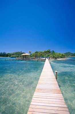 Tablou Paradisul Tropical