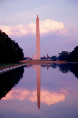 Tablou Washington