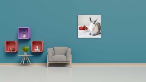 Tablouri animale iepure