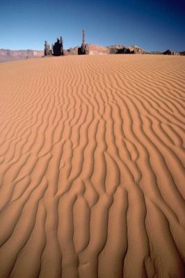 Tablou Desert