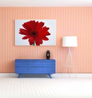 Tablou gerbera
