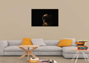 Tablou Golden Retriever
