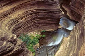 Tablou Natura